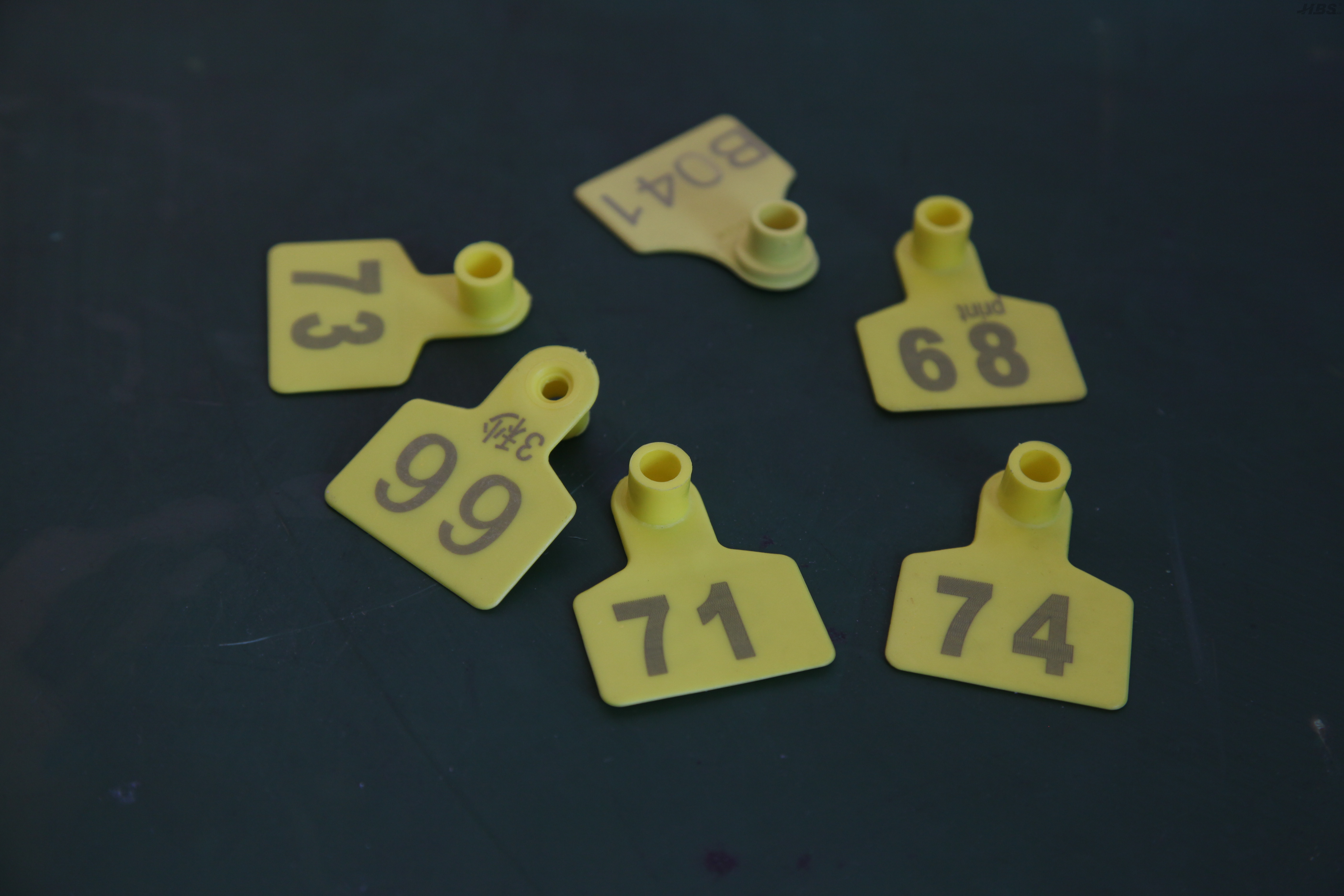 Sistema de Laser de CO2 